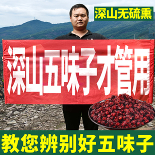 五味子长白山新品500g菟丝子东北菟丝子泡茶泡酒正片官方旗舰店