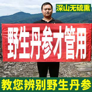 四川中江丹参中药材正品官方旗舰店泡水泡茶晒干晒干发汗