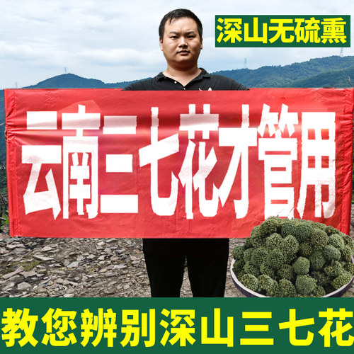 云南文山特产三七花六年生三七
