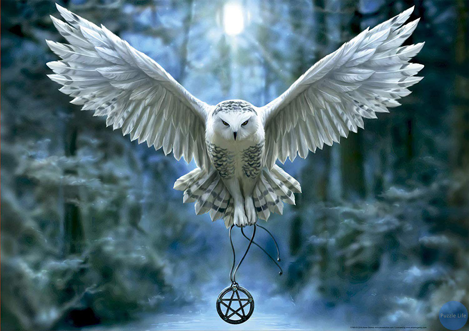 educa魔法西班牙益智玩具现货