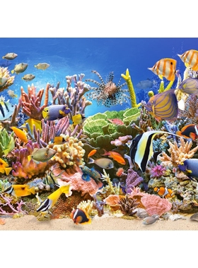 现货Castorland海洋生活4000片欧洲进口拼图成人益智玩具成年潮玩