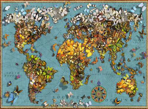 睿思Ravensburger蝴蝶世界500片德国进口拼图成人益智玩具成年