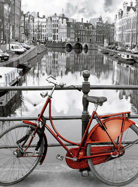 现货Educa荷兰单车1000片西班牙进口拼图雷诺瓦成人益智玩具成年