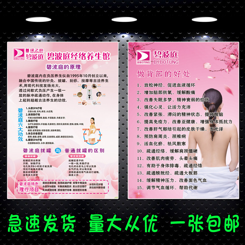 新款碧波庭理疗项目好处宣传海报画美容院背部私密臀疗广告装饰画