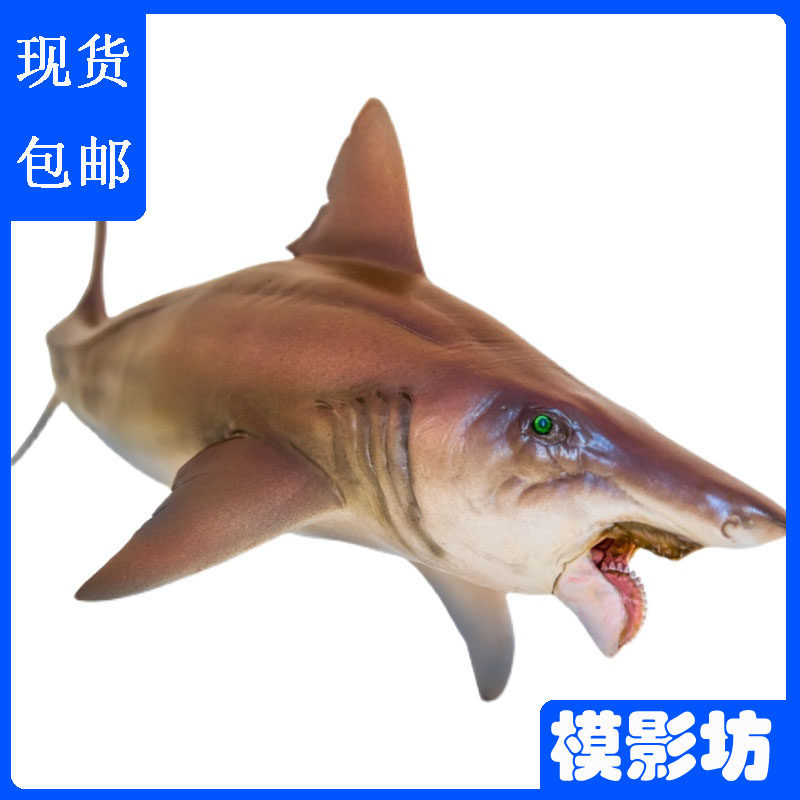 PNSO恐龙大王旋齿鲨海怪来袭恐龙