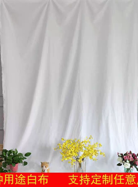 白色背景布白布料拍照道具儿童摄影ins网红店直播背景墙装饰布景
