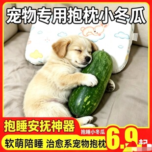 【抱枕小冬瓜】宠物专用抱枕小冬瓜白霜冬瓜清凉降暑挂霜冬瓜