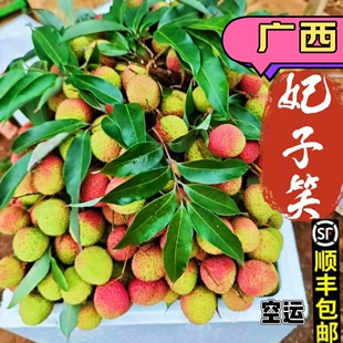 广西灵山新鲜妃子笑荔枝10斤现摘现发产地直发应季水果香甜老树果