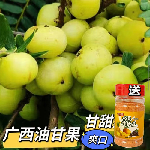 广西野生油甘果新鲜采摘当季水果余甘子泡酒榨汁孕妇水果产地直发