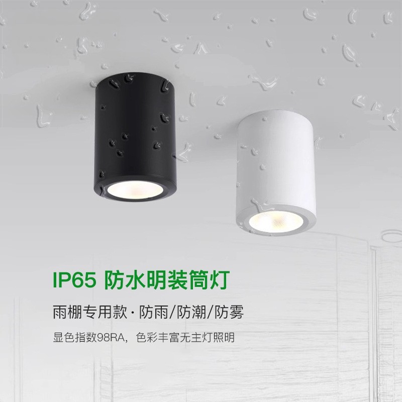 IP65级防水明装筒灯适配飞利浦芯片户外酒店阳台店铺门头浴室射灯,家装灯饰光源,明装筒灯,淘宝优惠券,粉丝福利购,淘宝优惠卷