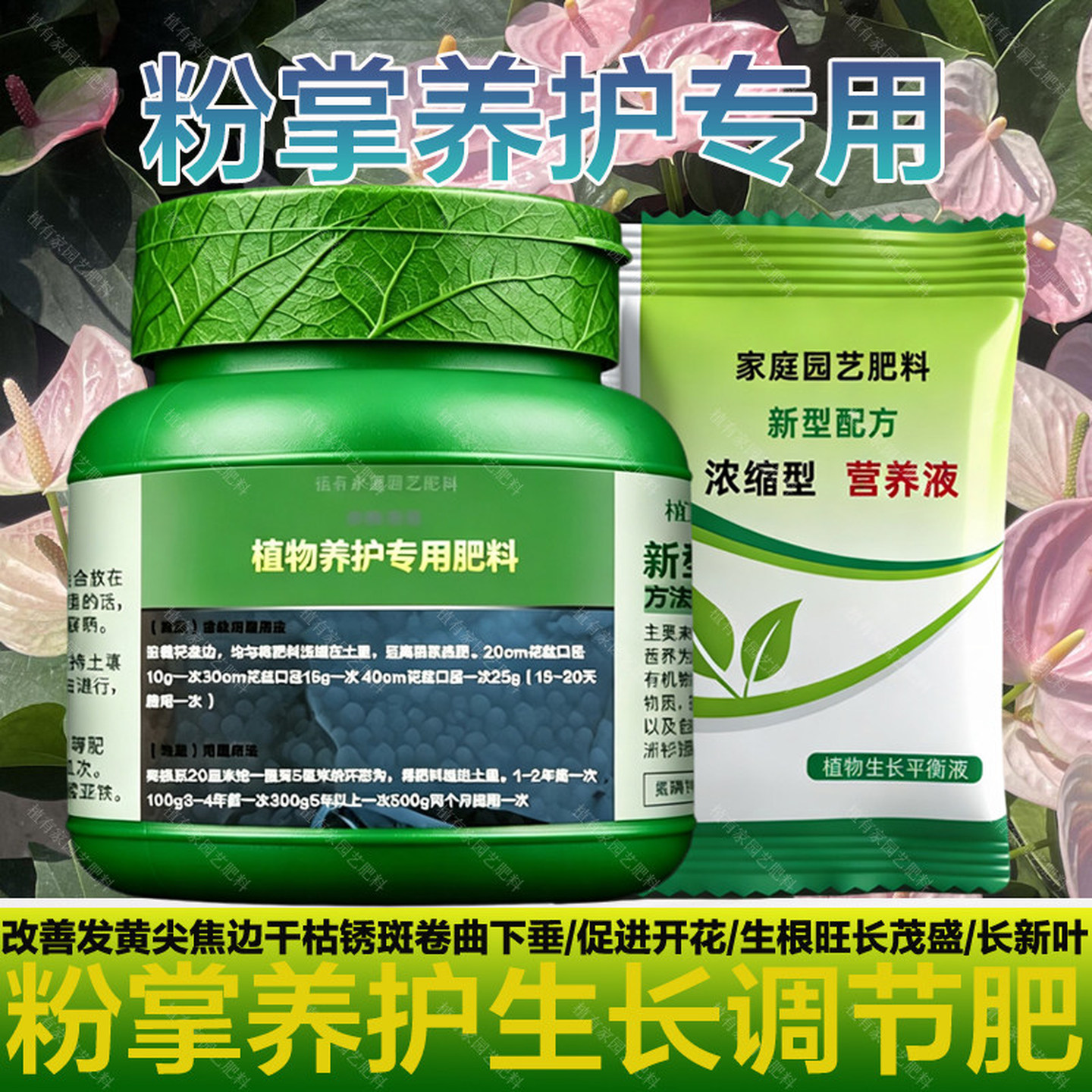 粉掌专用肥料盆栽营养液水培土培叶子黄尖焦干枯锈斑卷曲下垂肥料