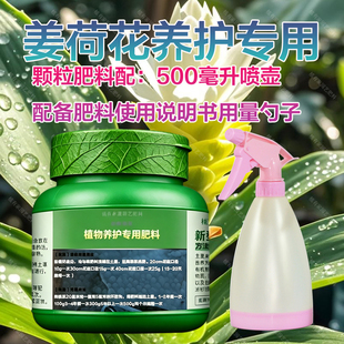 姜荷花专用肥料盆栽种球开花肥种植有机肥营养液叶面肥营养肥肥料