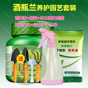 酒瓶兰专用肥料室内盆栽绿植物营养液防叶子干枯黄蔫锈斑花卉肥料