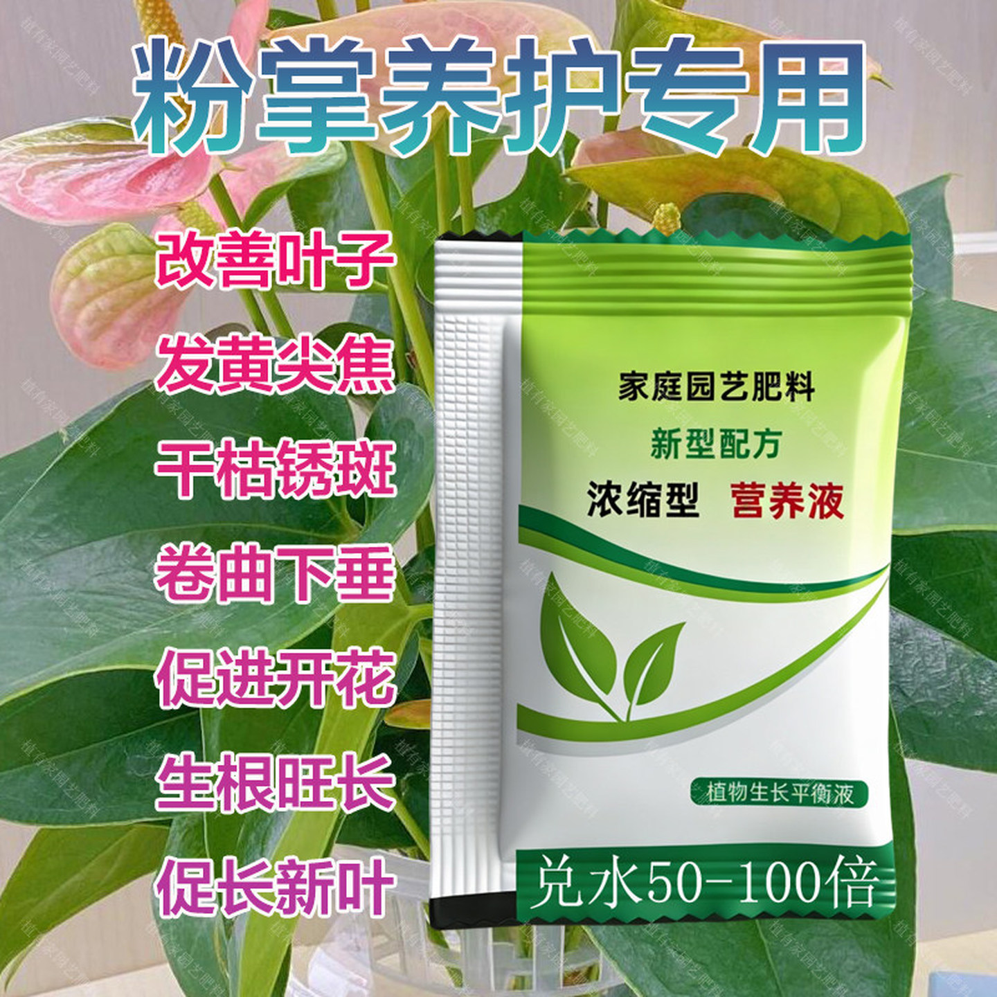 粉掌专用肥料室内盆栽营养液开花肥水培土培有机肥颗粒水溶化肥料