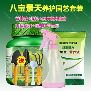 八宝景天专用肥料蝎子草三七多肉植物营养液开花长高分枝叶面肥料
