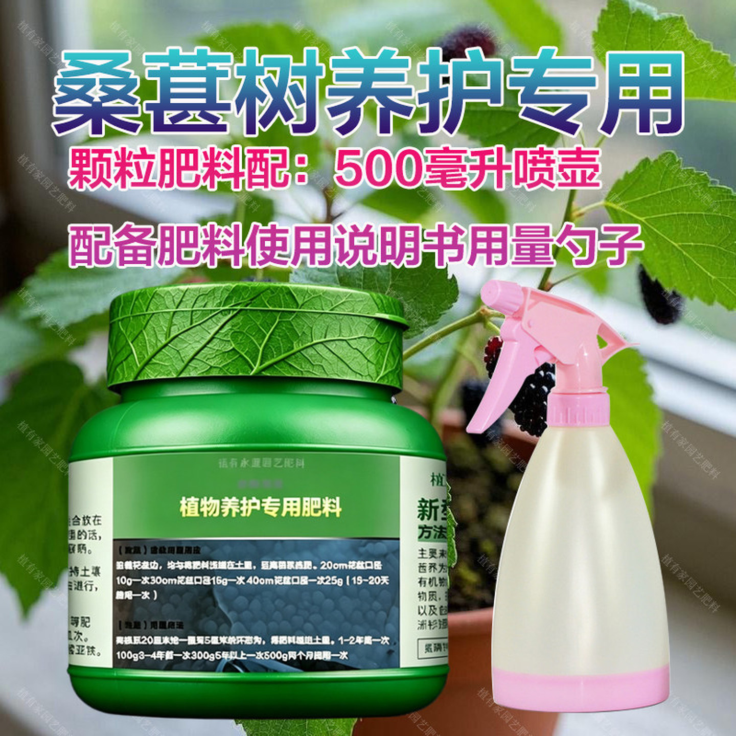 桑葚树专用肥桑椹子乌椹桑种植果树肥料盆栽果树绿色有机肥营养液