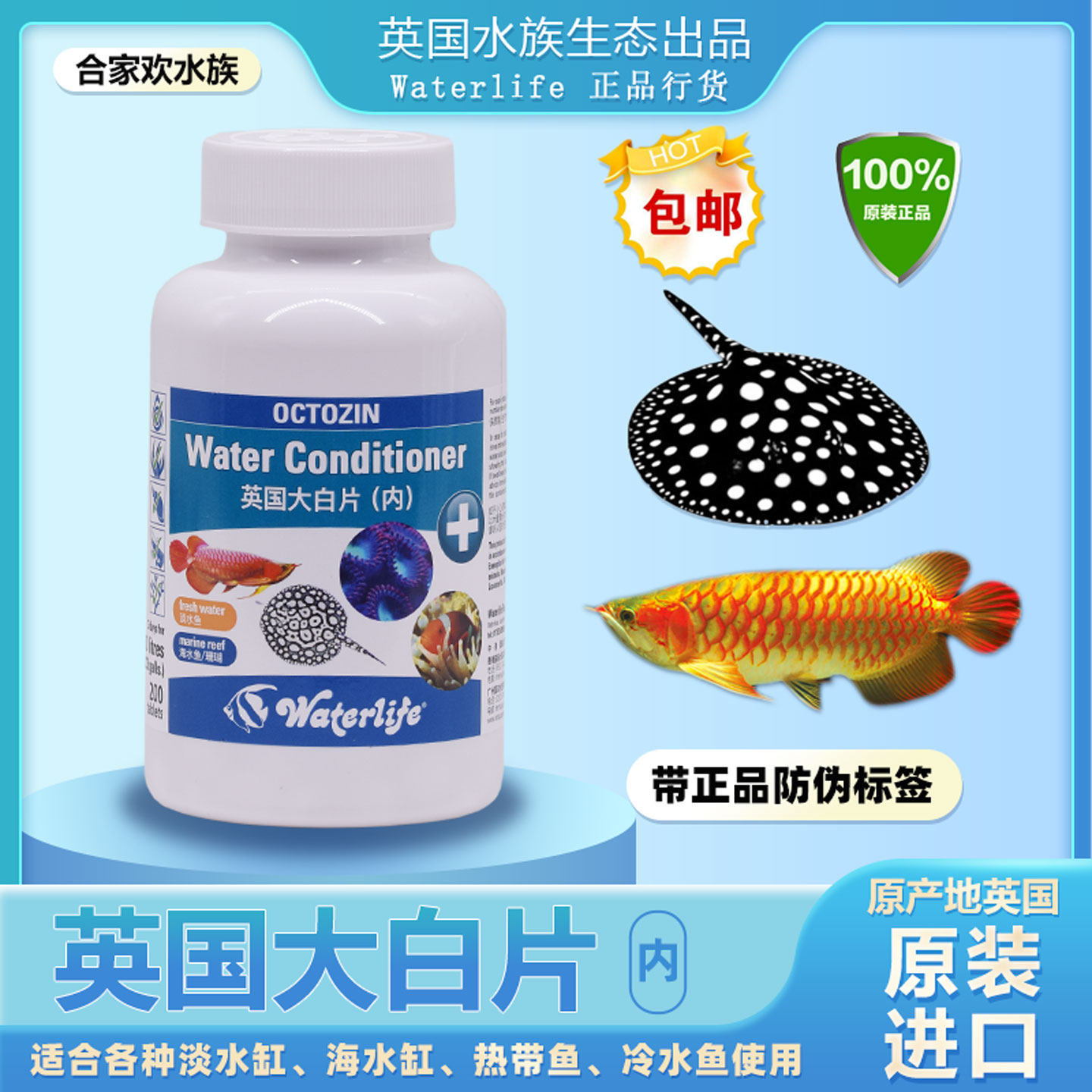 Waterlife水族生态原装英国大白片龙鱼内寄存拖便罗汉鹦鹉鱼头洞
