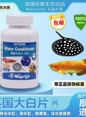 Waterlife水族生态原装英国大白片龙鱼内寄存拖便罗汉鹦鹉鱼头洞