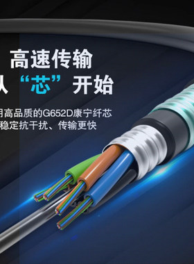 KNOFC康宁 国标GYTA53 4/6/8 光缆