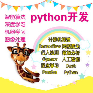 Python代编图像处理文字识别yolo语义分割目标检测gan接单halcon