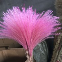 禪意干花蘆葦蒲葦花歐美時(shí)尚擺件