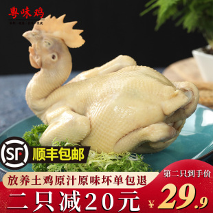 广东正宗白切鸡850g加热即食美食特产白斩鸡熟食鸡口水鸡零食