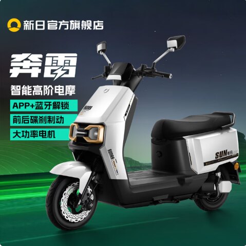 新日岳西门店 智能电动车 长续航电瓶车 成人代步电动 摩托车奔雷