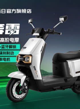 新日岳西门店智能电动车电瓶车