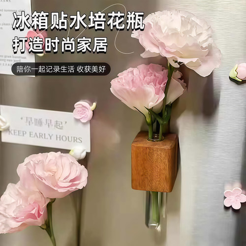 创意磁贴水培植物花瓶养花
