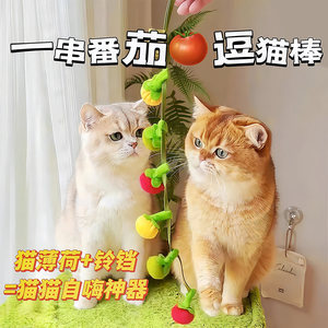 新款番茄逗猫棒耐咬猫咪玩具铃铛