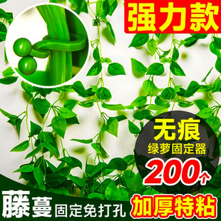 固定绿萝绿植爬墙固定神器无痕家用室内蔓藤植物挂钩墙上客厅贴墙