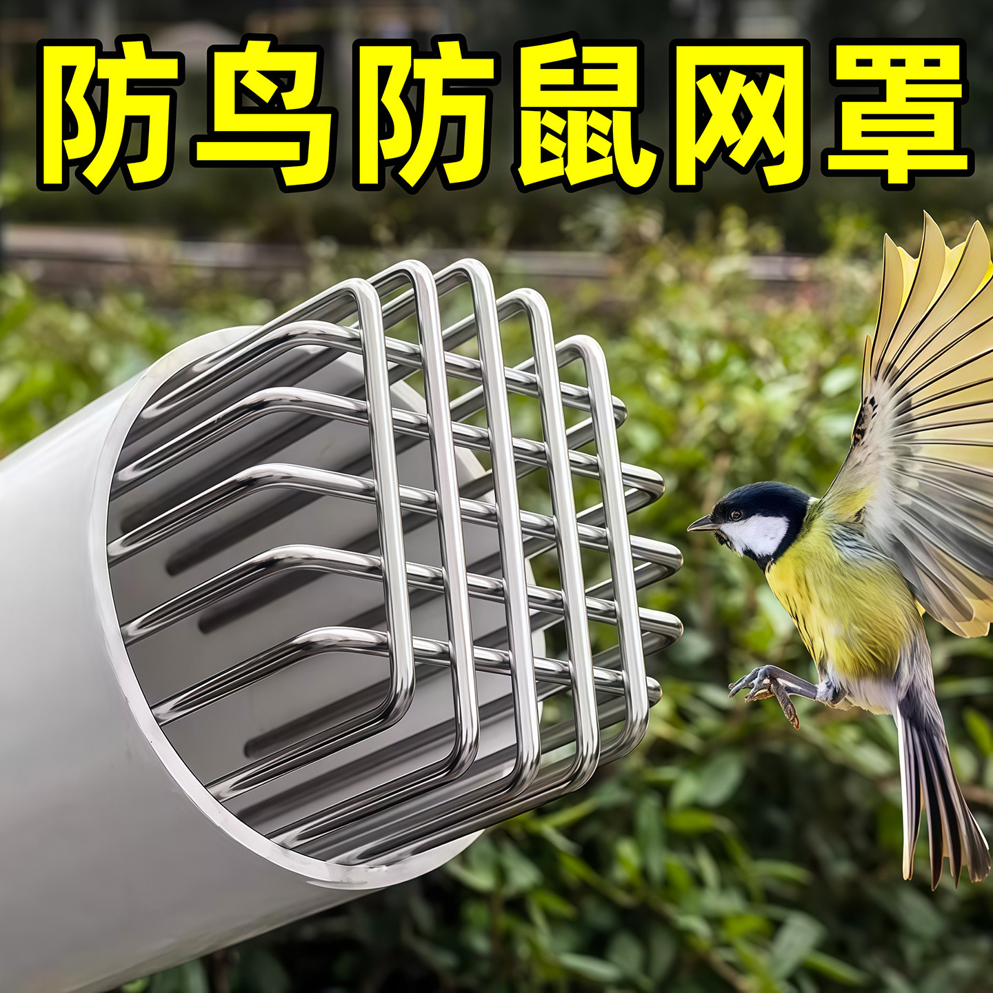 不锈钢防鼠鸟蛇网罩卫生间油烟口通风口PVC下水管道排水过滤地漏