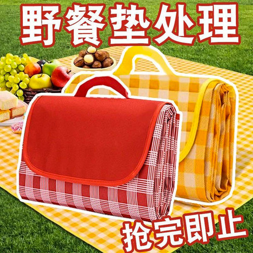 露营野餐垫防潮垫加厚可折叠便携