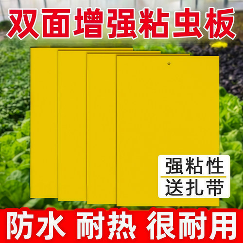 双面粘虫板贴纸强力灭杀小飞虫板