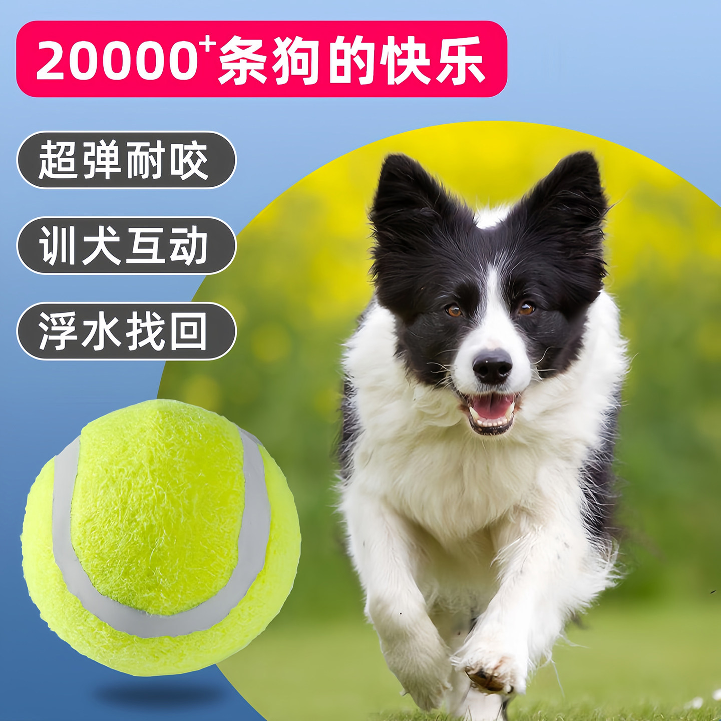 狗狗玩具球自嗨解闷神器磨牙网球
