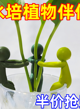 新款水培植物生长伴侣防倒支撑架