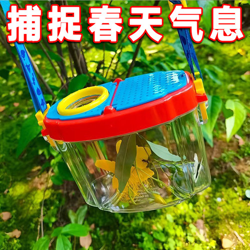 昆虫观察盒捕捉蝌蚪蝴蝶
