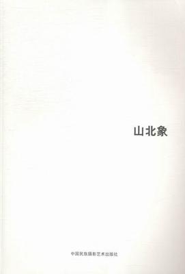 山北象王征 摄影集中国现代艺术书籍