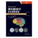 text阿兰·克罗斯曼 神经解剖学 神经系统人体解剖学高等学校教材医药卫生书籍 illustrated colour 彩色图解教程