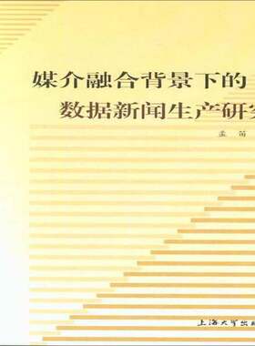 媒介融合背景下的数据新闻生产研究孟笛 数据处理应用新闻学研究社会科学书籍