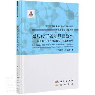 微尺度下碳基界面盐水:水合离子-π作用的理论、实验和应用:hydrated cation-π interact方海平普通大众水合离子研究自然科学书籍