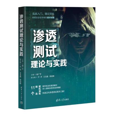 渗透测试理论与实践 曲广平 于洋 渗透测试的思路和流程 SQL注入 Web安全漏洞 9787302666493 清华大学出版社书籍