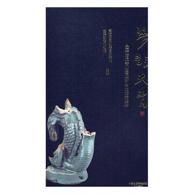 梦韵天青：宝丰清凉寺汝窑新出土瓷器集粹河南省文物考古研究院 汝窑瓷器中国艺术书籍