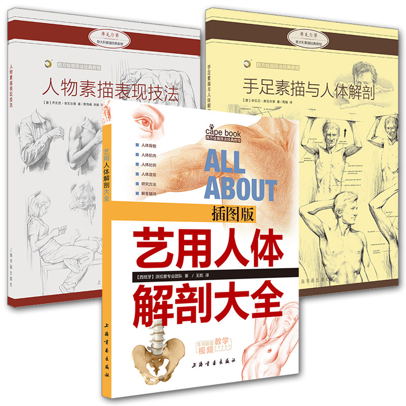 3册西方绘画技法经典教程 手足素描与人体解剖/人物素描表现技法/艺用人体解剖大全 人体素描技巧读物 正版书籍 包邮 上海书画