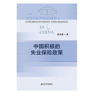 中国积极的失业保险政策 书田大洲 社会科学 书籍