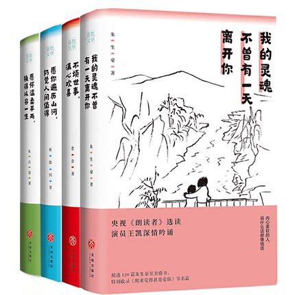 正版 人间有情系列四册愿你遍历山河仍觉人间值得+不烦世事满心欢喜+我的灵魂不曾有一天离开你+愿怀温柔半两换得从容一生文学书籍