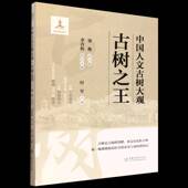 社图书 梁中国林业出版 书籍 古树9787521931426 中国人文古树大观