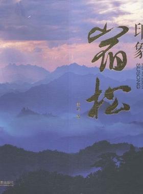 印象宿松雷鸣普通大众宿松县摄影集艺术书籍