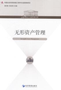 无形资产管理夏洪胜 无形资产管理管理书籍