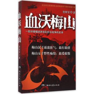 血沃梅山贺辉军 长篇小说中国当代小说书籍